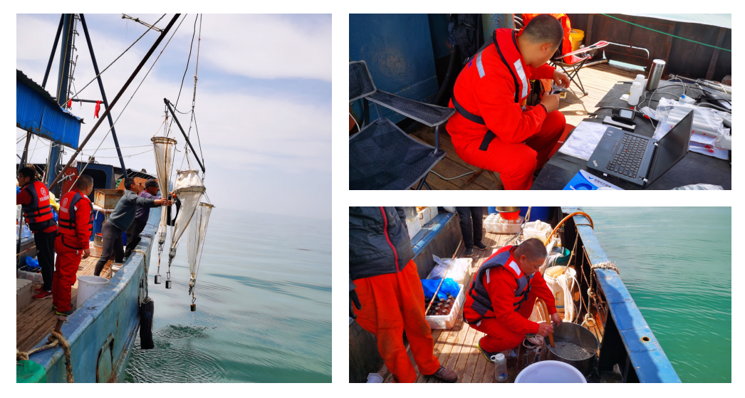 海上科研调查1